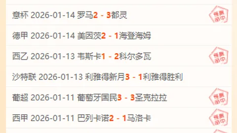 非洲足球盛宴夜，马里雄狮激战燃情时刻